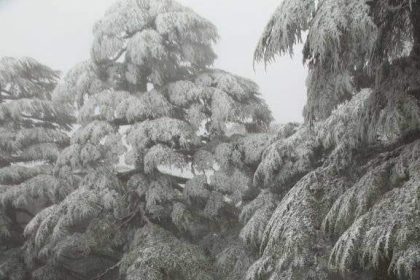 قمة جبل تيزيران