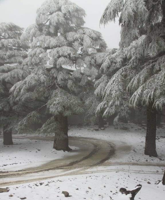 قمة جبل تيزيران